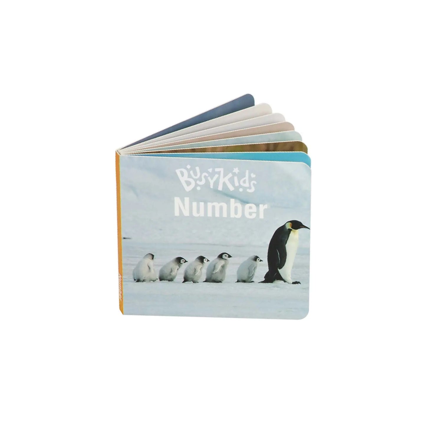 Coffret de Jeu Montessori pour les enfants de 24 à 36 mois BusyKids BusyKids Europe s.r.o.